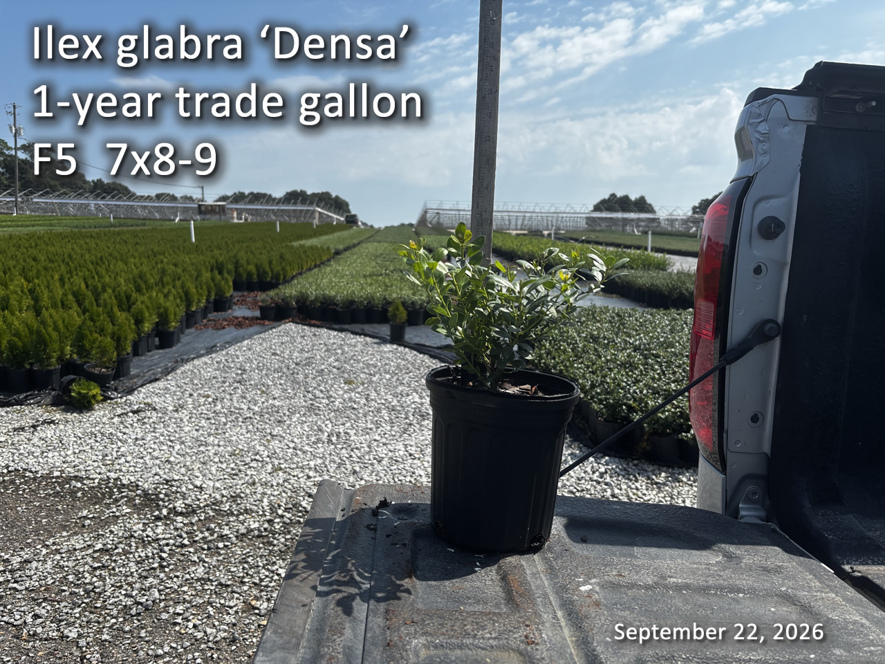 gallery/igd1yt f5 sept22.jpg
